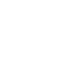DS